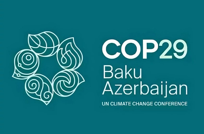  COP29  Climate Christmas in Azerbaijan